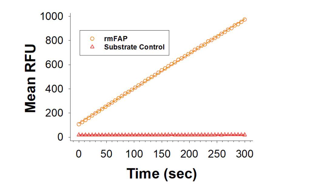 Recombinant Mouse FAP is measured by its ability to convert the substrate benzyloxycarbonyl-Gly-Pro-7-amido-4-methylcoumarin (Z-GP-AMC) to Z-Gly-Pro and 7-amino-4-methylcoumarin (AMC).